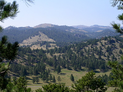 [Looking through some trees to mountains in distance which have patches of evergreens growing on them. This is a vista view.]